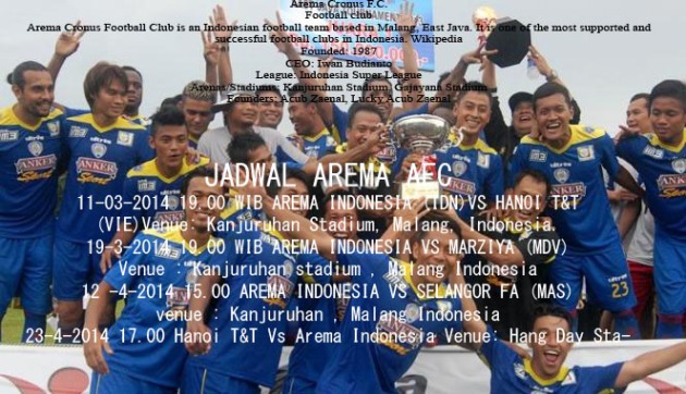 234400_pemain-arema-indonesia-usai-juara-piala-gubernur-jatim-2013_663_382